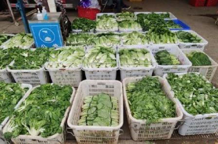 2022年北京冬奧會(huì)里的塑料新材料！