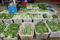 2022年北京冬奧會里的塑料新材料！